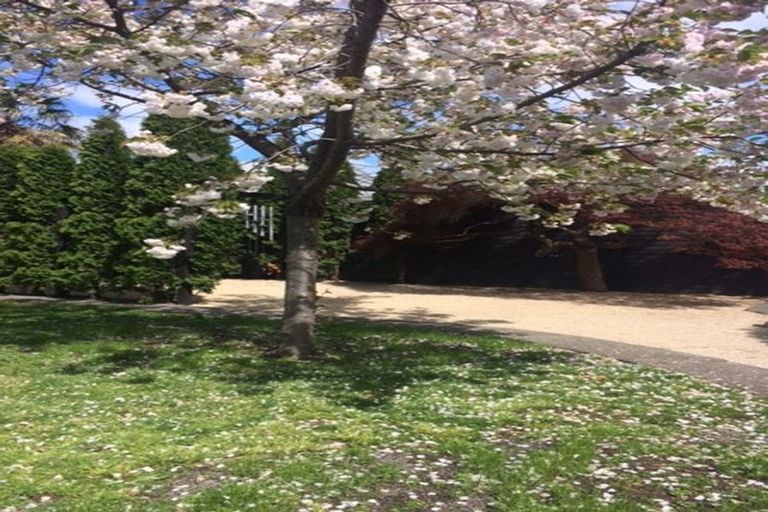 Photo of property in 3 Mckenzie Terrace, Carterton, 5713