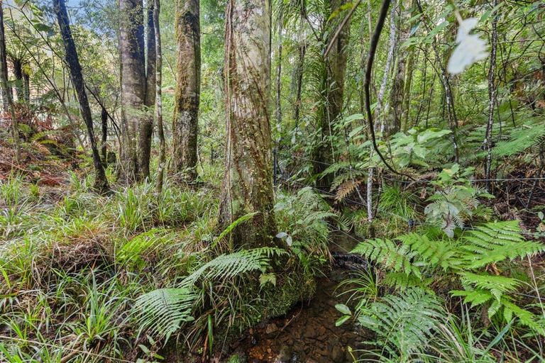 Photo of property in 80 Pupu Valley Road, Takaka, 7182