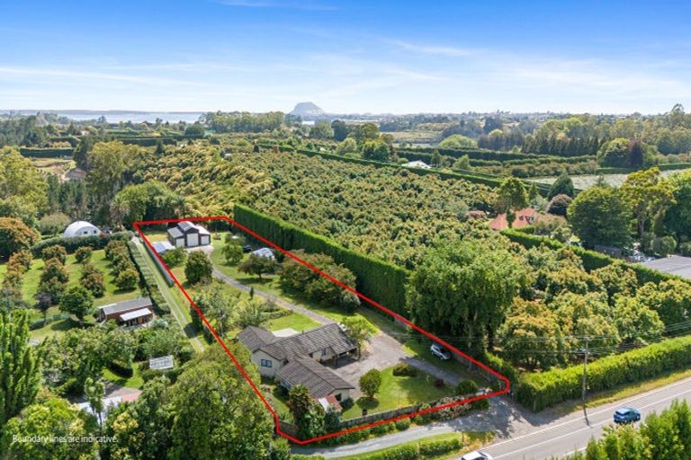 Photo of property in 532a State Highway 2, Minden, Tauranga, 3176