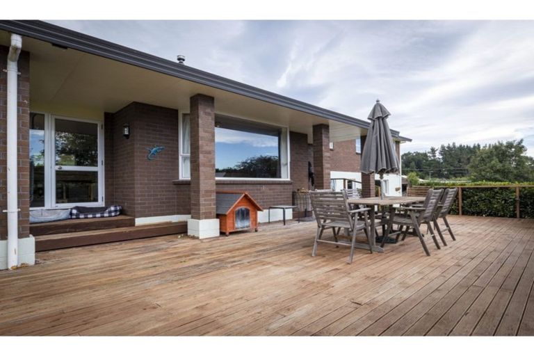 Photo of property in 70 Halstead Road, Pleasant Point, 7903