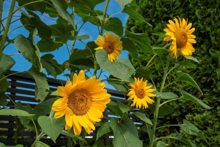 Photo of property in 153 Bellevue Road, Bellevue, Tauranga, 3110