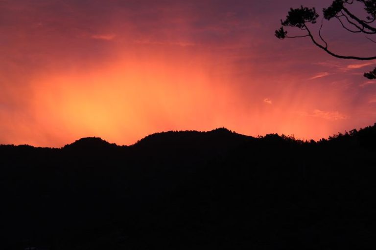 Photo of property in 44 Upland Road, Huia, Auckland, 0604