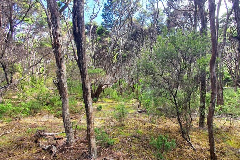 Photo of property in 21 Woods Ridge Road, Kawau Island, 0920