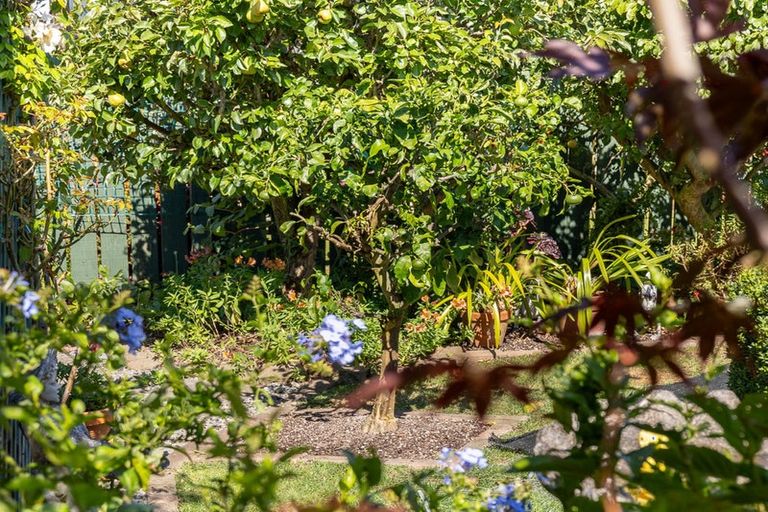 Photo of property in 52 Andrew Street, Waikanae, 5036