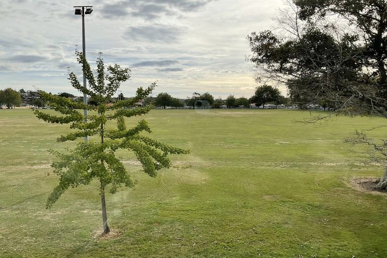 Photo of property in 6 Arawa Street, Frankton, Hamilton, 3204