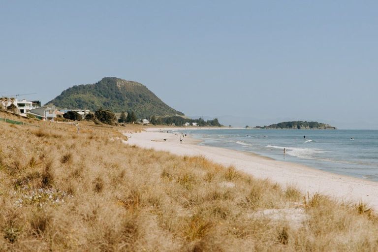 Photo of property in 241 Oceanbeach Road, Mount Maunganui, 3116