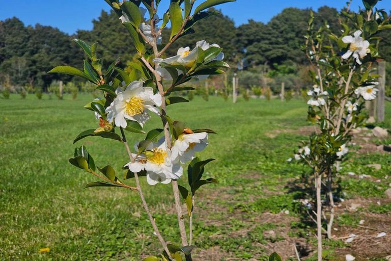 Photo of property in 35 Woven Stone Way, Ohau, 5570