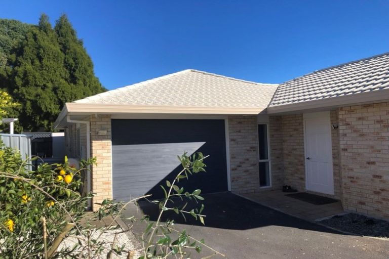 Photo of property in 180 Maungatapu Road, Maungatapu, Tauranga, 3112