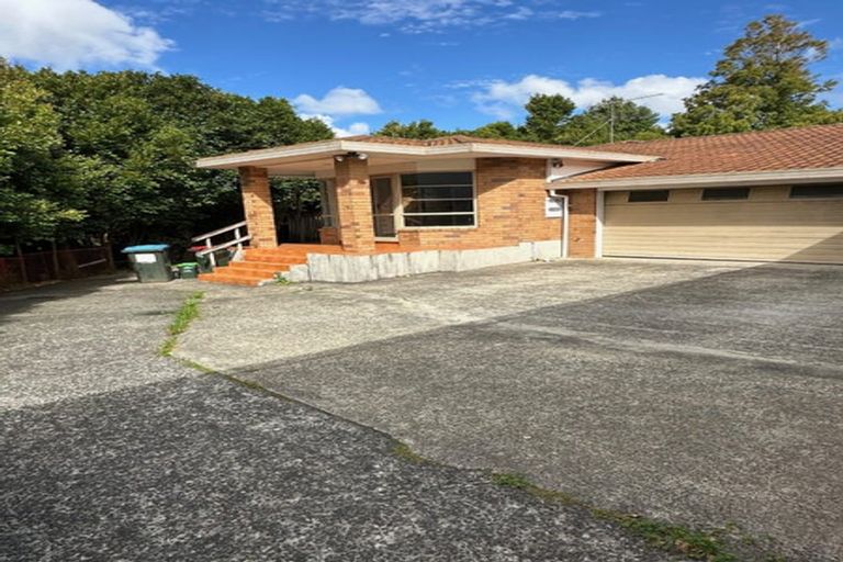 Photo of property in 36a Whitmore Road, Mount Roskill, Auckland, 1041