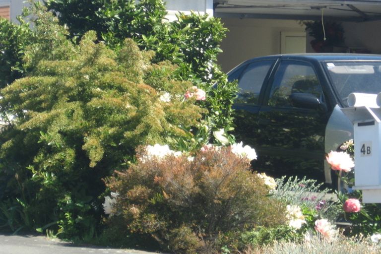 Photo of property in 4b Seymour Street, Blenheim, 7201