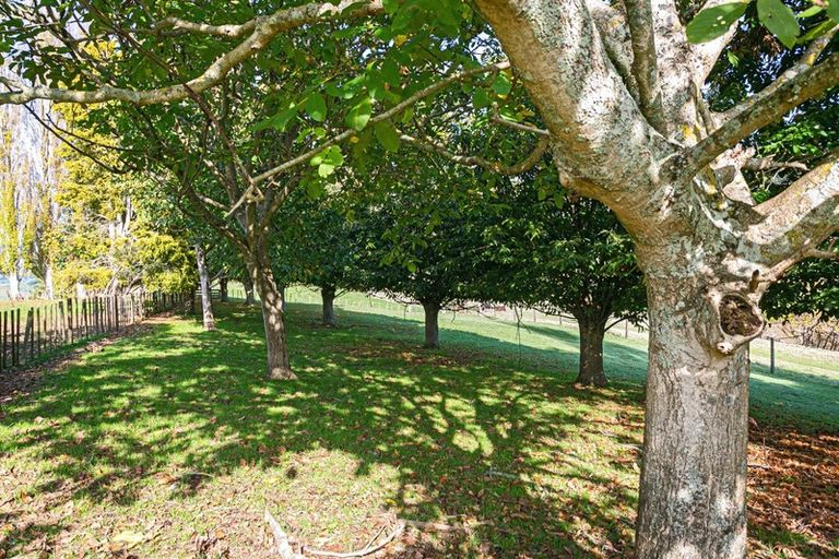 Photo of property in 191 Kawhia Road, Otorohanga, 3973