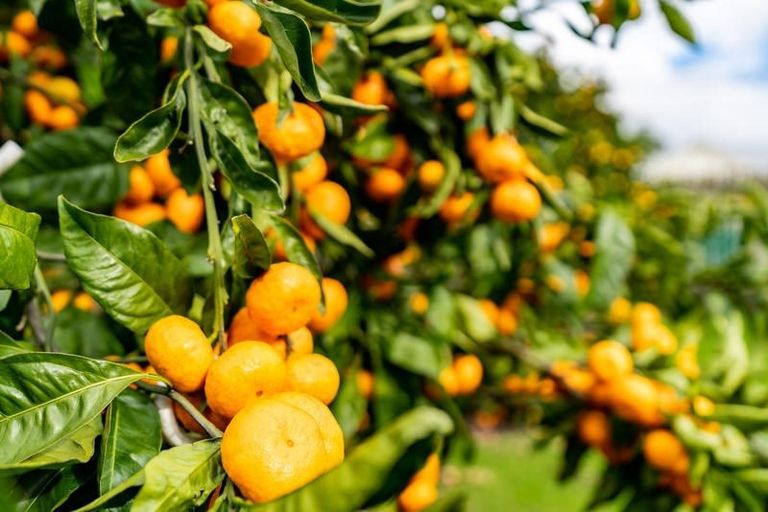 Photo of property in 1a Ferry Road, Waipu, 0510