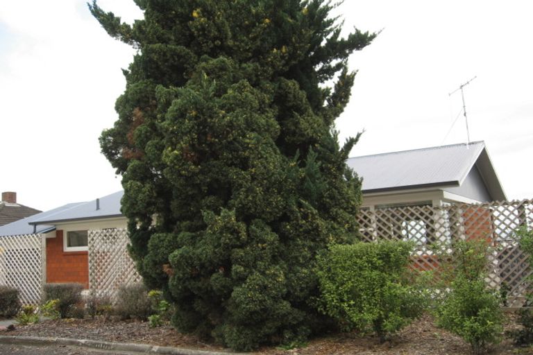 Photo of property in 139 Brunton Crescent, Thames, 3500