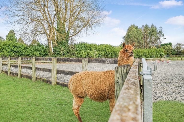 Photo of property in 49 Trentham Road, Matangi, Hamilton, 3284