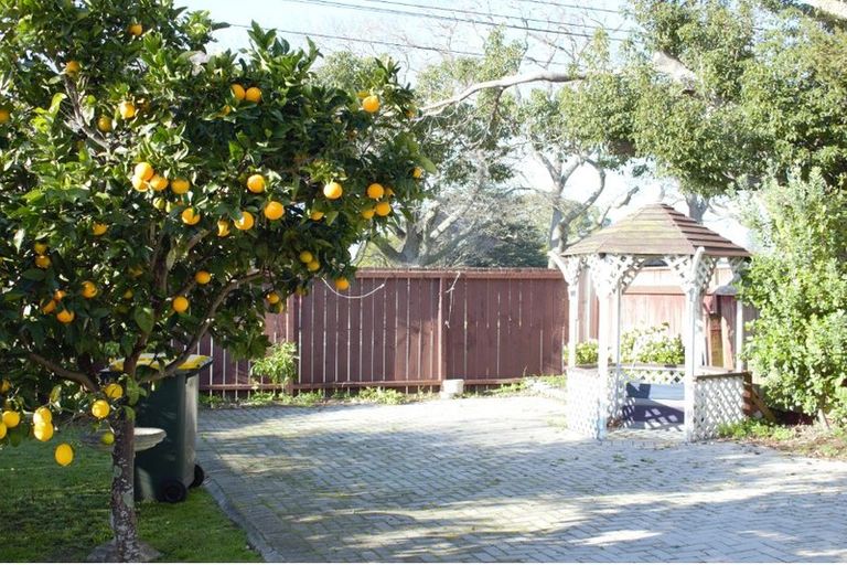 Photo of property in 1/143 Shakespeare Road, Milford, Auckland, 0620