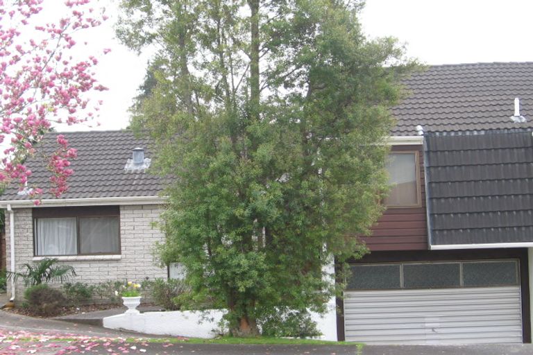 Photo of property in 3b Kotuku Place, Matua, Tauranga, 3110