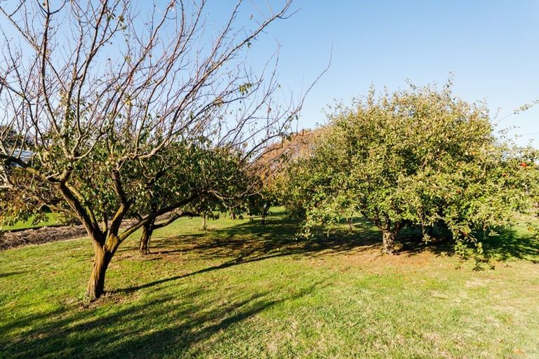 Photo of property in 17 Cemetery Road, Sanson, Palmerston North, 4479