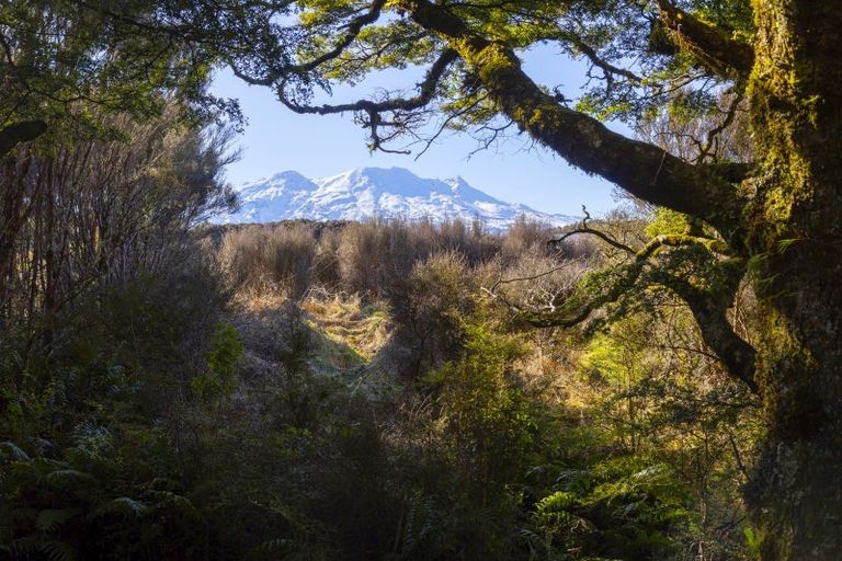 Photo of property in 7 Mead Lane, Horopito, Raetihi, 4696