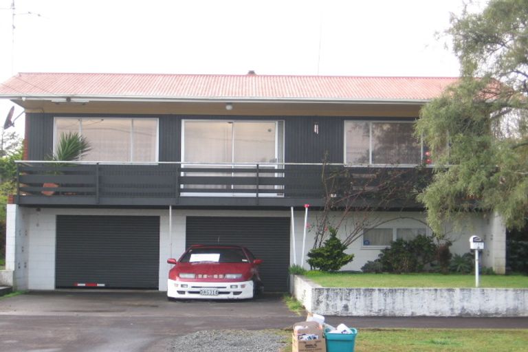 Photo of property in 133 Fitzroy Avenue, Fitzroy, Hamilton, 3206