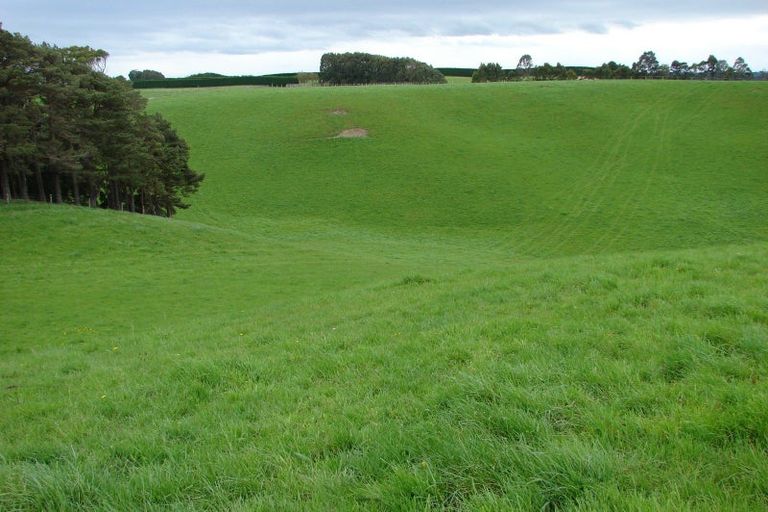 Photo of property in 217 Tussock Creek Grove Bush Road, Grove Bush, Invercargill, 9872