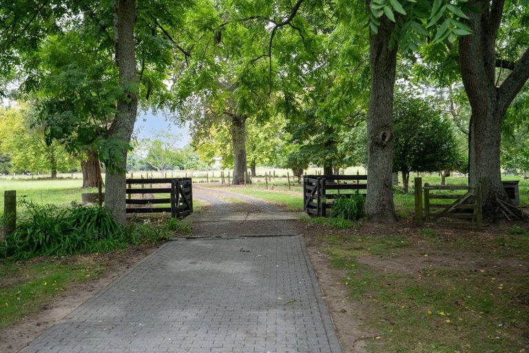 Photo of property in 378 Bruntwood Road, Matangi, Cambridge, 3493