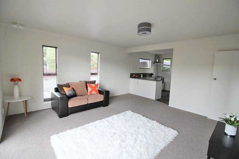 Photo of property in 17 Richan Street, Glenview, Hamilton, 3206