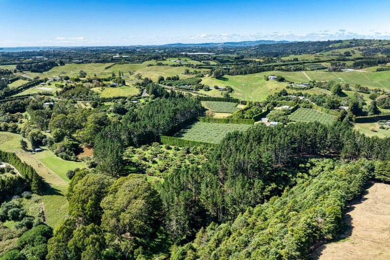 Photo of property in 168 Youngson Road, Whakamarama, Tauranga, 3179