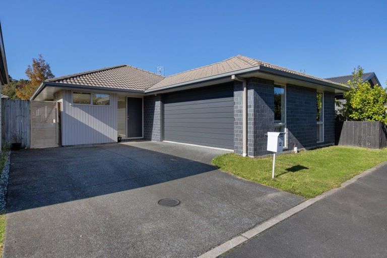 Photo of property in 12 Rire Hau Lane, Pyes Pa, Tauranga, 3112
