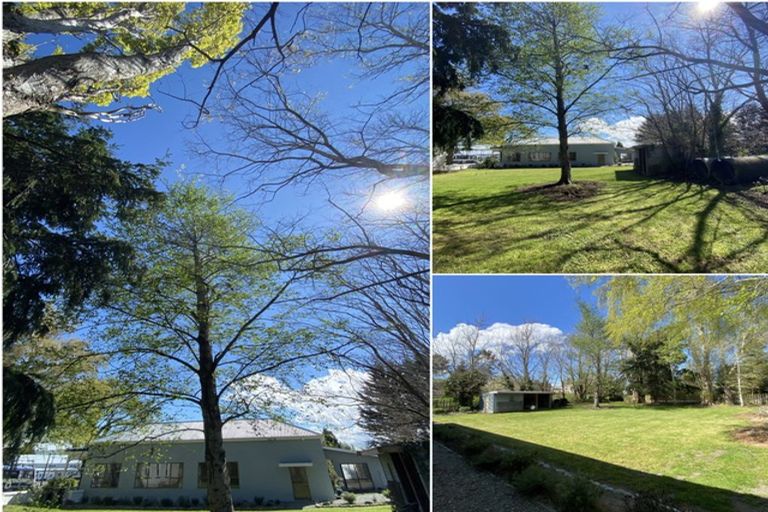 Photo of property in 13 Meadow Street, Lumsden, 9730