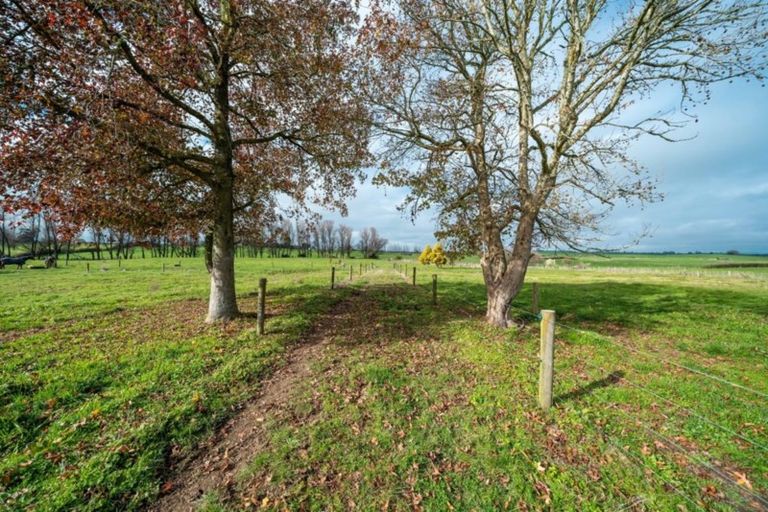 Photo of property in 592 Morrinsville-tahuna Road, Mangateparu, Morrinsville, 3373