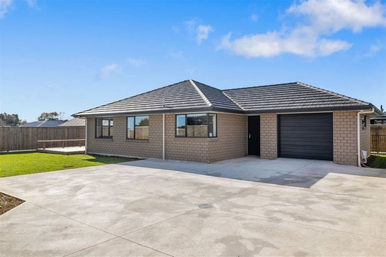 Photo of property in 77b Fairfield Road, Levin, 5510