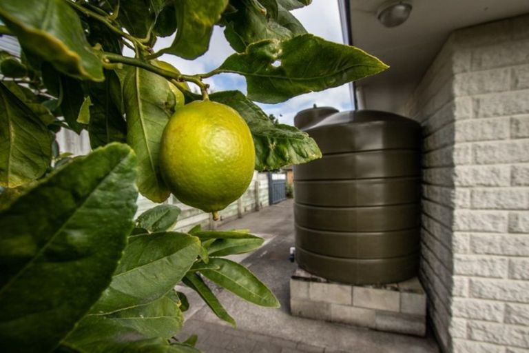 Photo of property in 3 Brookfield Place, Paraparaumu, 5032