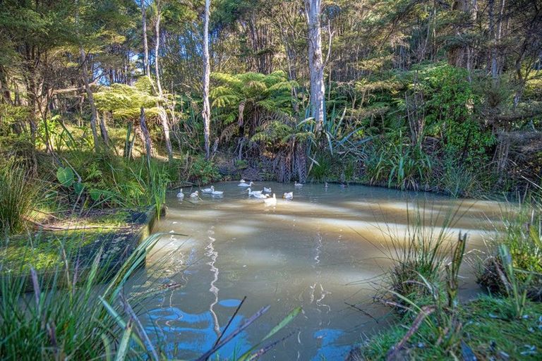 Photo of property in 341 Kanohi Road, Kaukapakapa, 0873