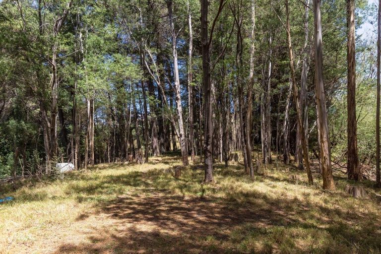 Photo of property in Annedale Road, Tinui, 5894