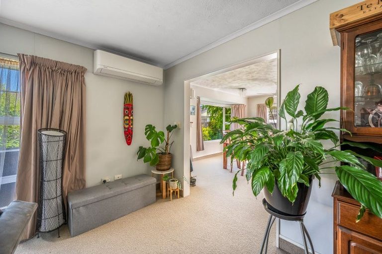 Photo of property in 117 Auckland Road, Greenmeadows, Napier, 4112