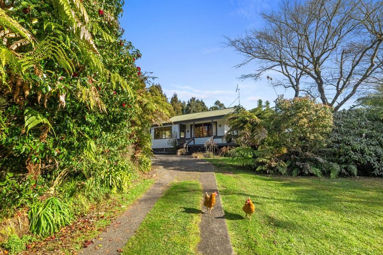 Photo of property in 1558 Pyes Pa Road, Oropi, Tauranga, 3173
