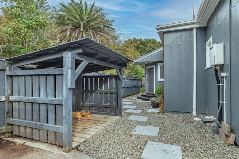 Photo of property in 67 Macarthur Street, Levin, 5510