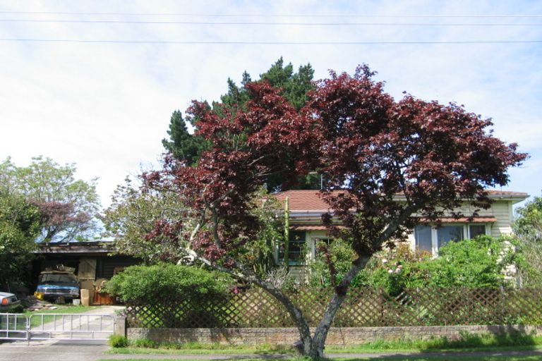 Photo of property in 15 Elsthorpe Avenue, Mangapapa, Gisborne, 4010