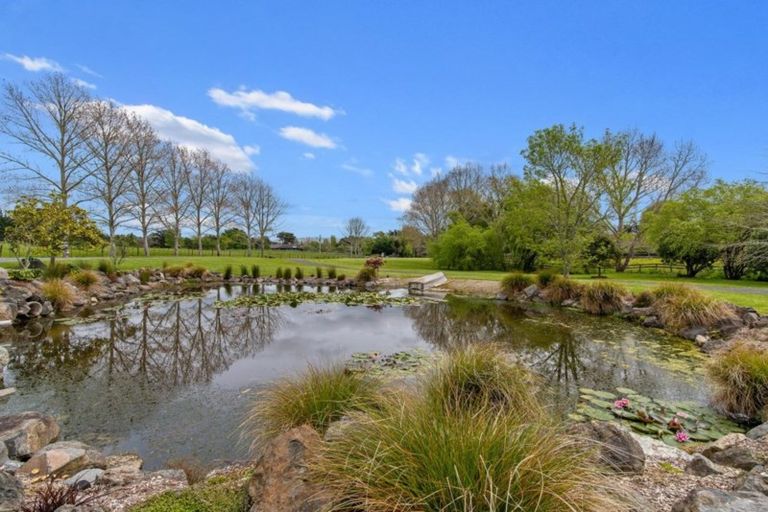 Photo of property in 30 Oregon Park, Dairy Flat, Albany, 0792