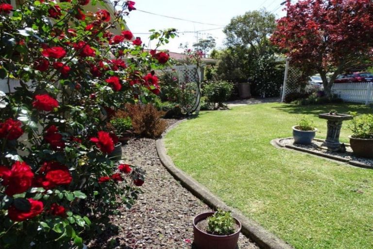 Photo of property in 4 Lewis Street, Paeroa, 3600
