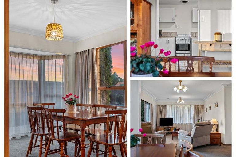 Photo of property in 213a Fifteenth Avenue, Tauranga South, Tauranga, 3112