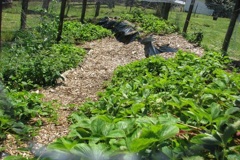 Photo of property in 4 Terrace Street, Matawai, 4075