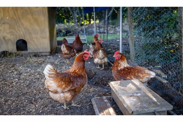 Photo of property in 5 Kotare Heights, Kerikeri, 0230