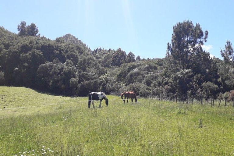 Photo of property in 6b Tapu Creek Farms, Tapu, Thames, 3575