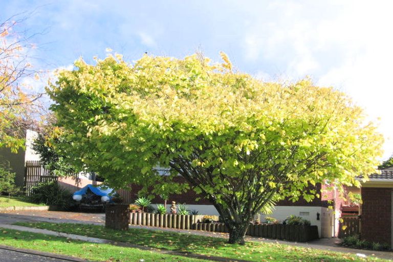 Photo of property in 33 John Gill Road, Shelly Park, Auckland, 2014