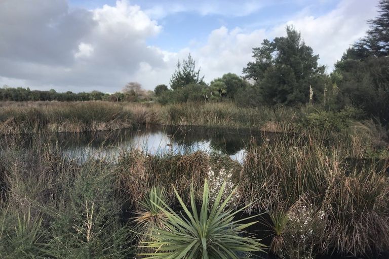 Photo of property in 1 Beardmore Lane, Papakura, 2110