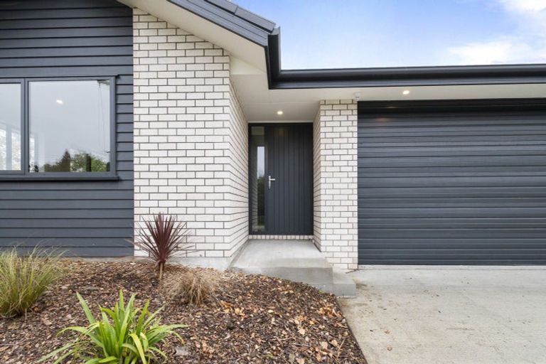 Photo of property in 13 Purcell Street, Foxton, 4814