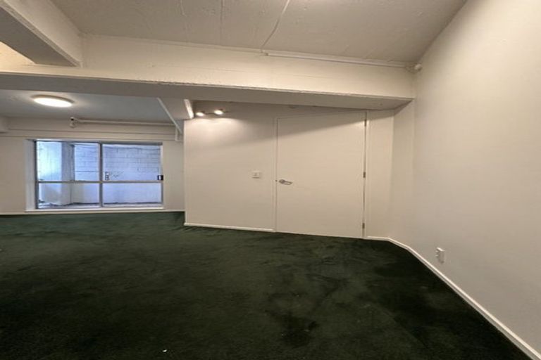 Photo of property in 6c Halleys Lane, Te Aro, Wellington, 6011