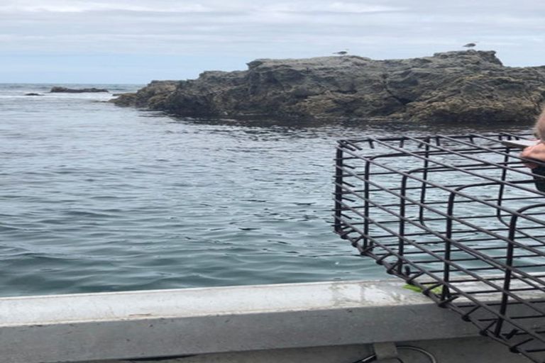 Photo of property in 149 Te Awaiti Road, Tora, Martinborough, 5782