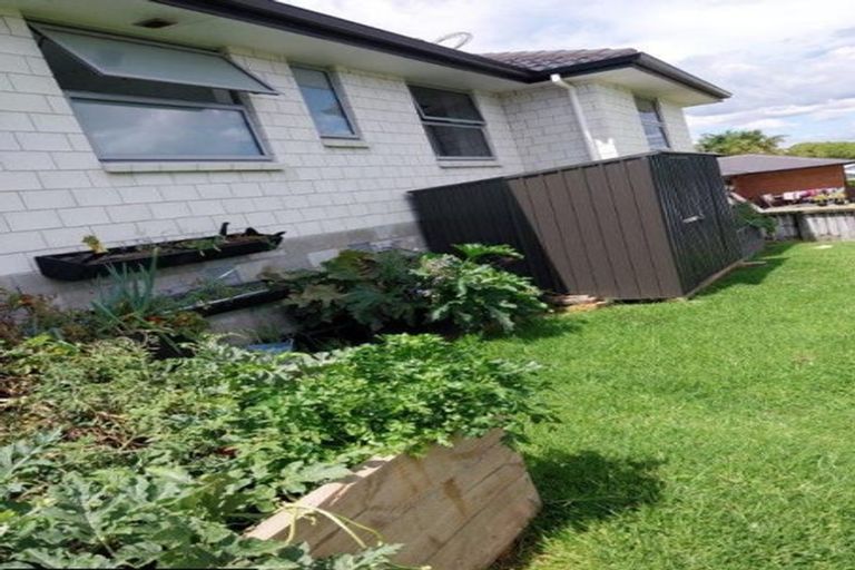 Photo of property in 11 Amy Place, Pyes Pa, Tauranga, 3112